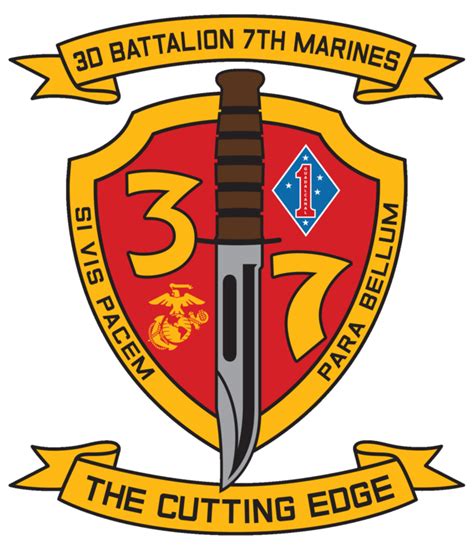 File3rd Battalion 7th Marines Modern Insigniapng Wikipedia