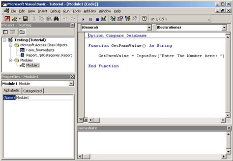 Ms Access 2003 Open Vba Environment