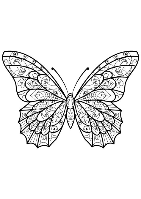 Papillon Aux Jolis Motifs à Colorier Coloriages Papillons And Insectes