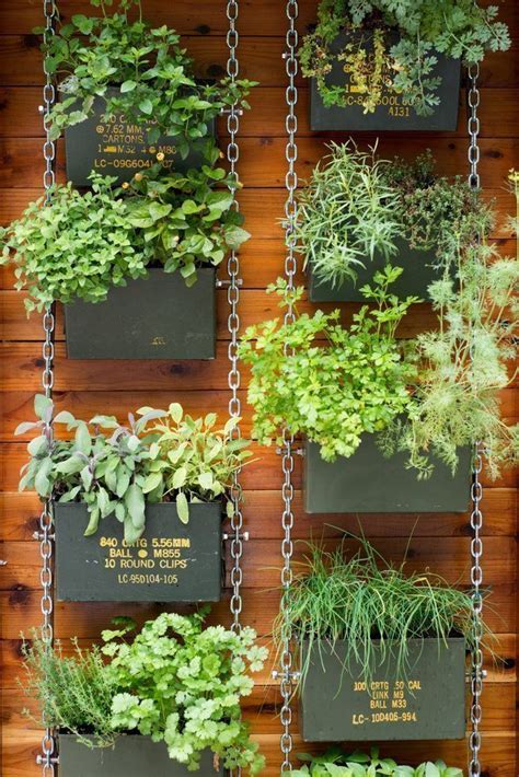 The 50 Best Vertical Garden Ideas And Designs For 2017
