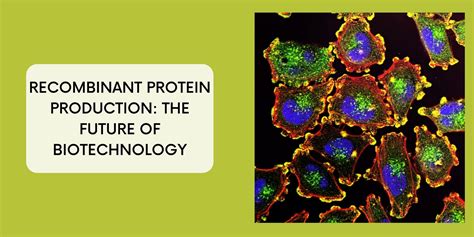 Recombinant Protein Production The Future Of Biotechnology Biomatik