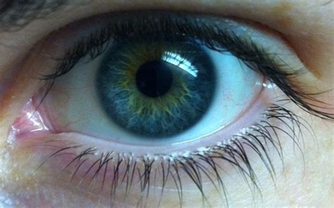 Eye Shape And Bluegreen Color Heterochromia Eyes Green Eyes Blue