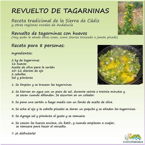Pasta, al dente, olla, retirarse, fuego, trucos, cocina. Sesión de cocina: Revuelto de tagarninas, una receta de la ...