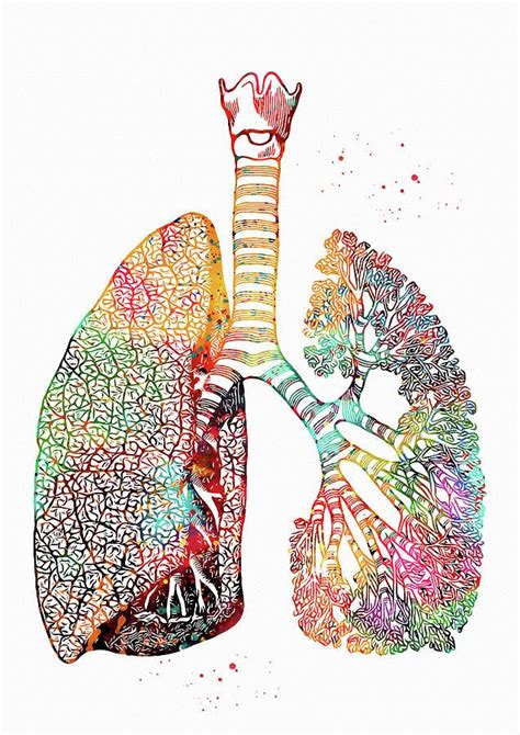 Print Digital Art Lungs Art By Erzebet S Anatomy Art Lungs Art