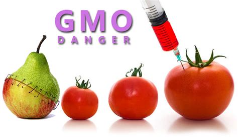 What You Need To Know About Gmos Health Tips Of Day