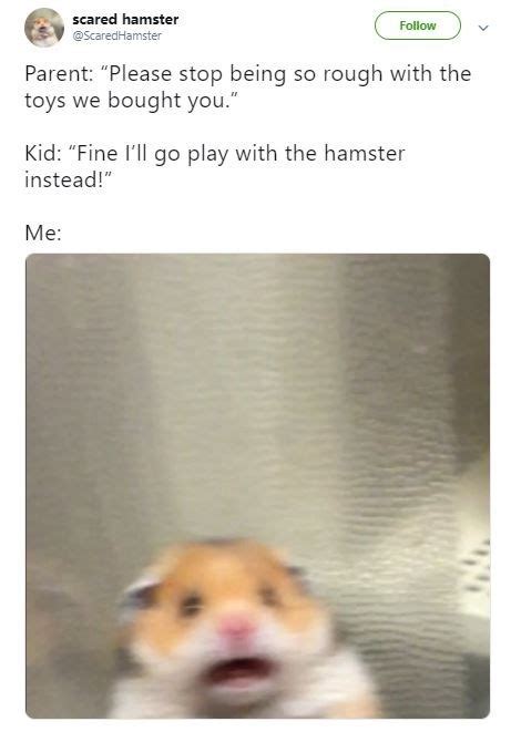 Run To The Cage Scared Hamster Know Your Meme