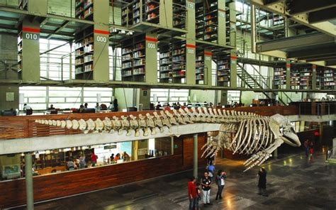 Biblioteca Vasconcelos entre la lectura y el arte México Desconocido