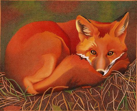Fantastic Red Fox Colored Pencil Drawing