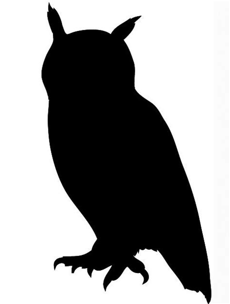 Owl Silhouette Black Owl Silhouette Bird Silhouette Silhouette Art