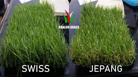 Harga rumput jepang/peking 1x1 meter murah. Distributor Rumput Sintetis Harga Per meter 2021 - Indo ...