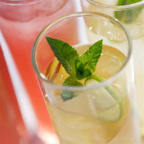 Supercook found 72 lemonade and ginger recipes. Fresh Mint and Ginger Lemonade Recipe | Hallmark Ideas ...