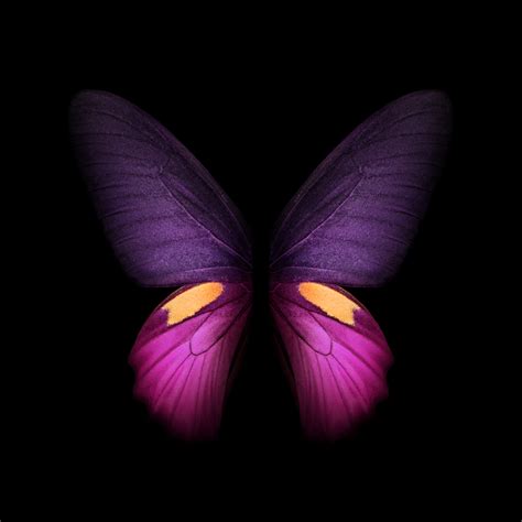 Download Samsung Galaxy Fold Wallpapers In High Quality Techburner