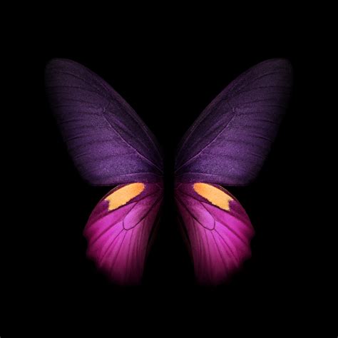 [Download] Samsung Galaxy Fold Wallpapers In High Quality! - TechBurner
