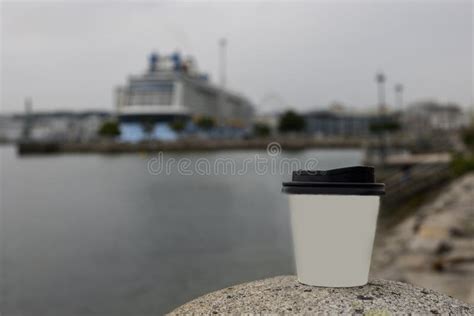 A Paper Coffee Cup Stands On A Rock In The Marina Stock Image Image
