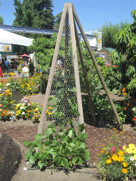 From simple to stunning, these designs fit every kind of garden. good idea | need to add chicken wire to my pea/bean ...