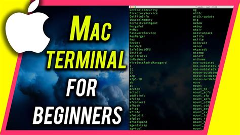 How To Use Terminal On Your Mac Command Line Beginners Guide Youtube