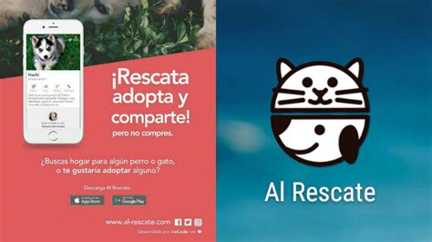 Mexicanos Crean App Para Rescatar Y Adoptar Perros Y Gatos El Gráfico