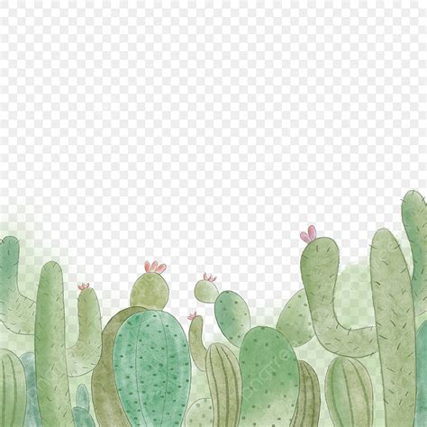 Cactus Border Png Vector Psd And Clipart With Transparent Background