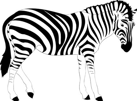 Afrikka Eläin Raidallinen Ilmainen Vektorigrafiikka Pixabayssa