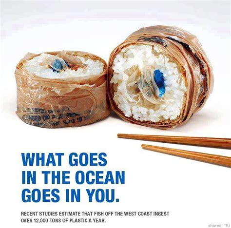 Water Pollution Awareness Ad Print Ads Creative