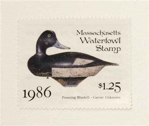 Lot 1986 Massachusetts Duck Stamp Print Depicts A Preening Bluebill