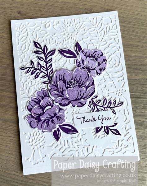 Paper Daisy Crafting Monochrome Two Tone Flora Cards Video Tutorial