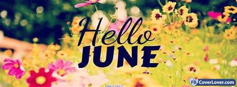 Hello June Flowers Field Seasonal Facebook Cover