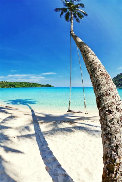 Exotic Tropical Beach Stock Photo Image Of Paradise 32669422