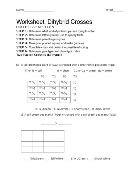 Chapter 10 Dihybrid Cross Worksheet Printable Word Searches