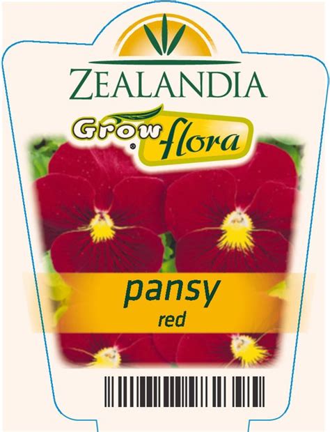 Pansy Red Zealandia Horticulture