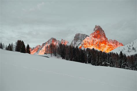 Kostenloses Foto Zum Thema 4k Wallpaper Bäume Berge
