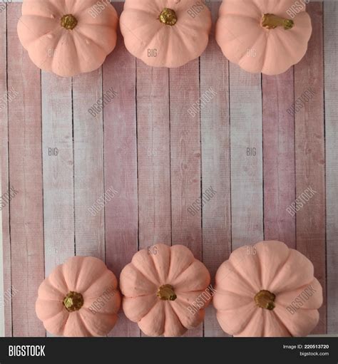 Blush Pink Pumpkins Image And Photo Free Trial Bigstock