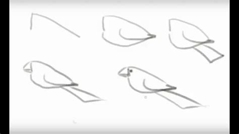 How To Draw A Bird Step By Step Easy Drawing Lesson F