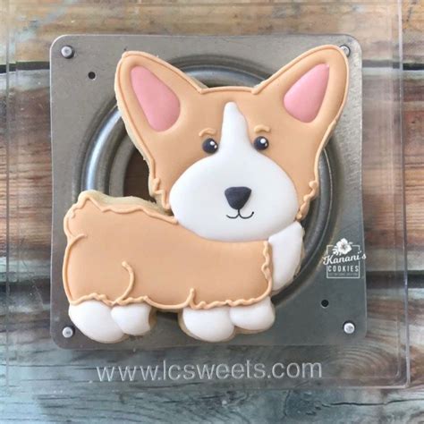Pin On Cookies Dog