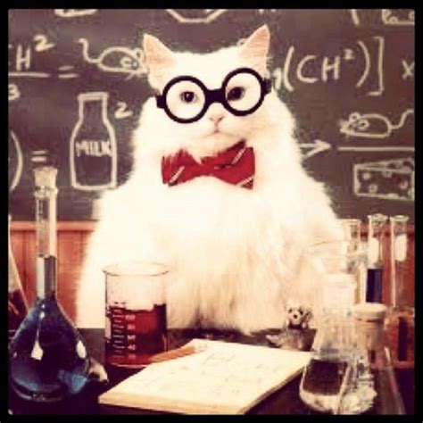 Chemistry Cat Chemistrycat Twitter