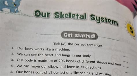 Our Skeletal System Class 5 Science Part 1 Youtube