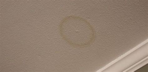 This is because the tannins brought into the ceiling by the water bleed right through a coat of paint. Water Stain On Ceiling From Roof Leak in 2020 | Water ...