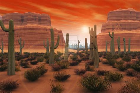 48 Arizona Desert Scenes Wallpaper On Wallpapersafari