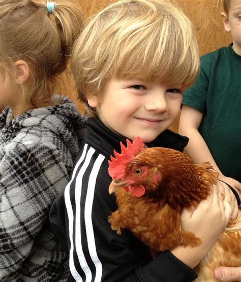 8 Great Reasons You Should Raise Chickens In Your Backyard