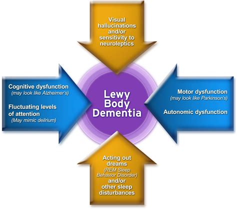 Figure 1 From Current Issues In Lewy Body Dementia Diagnosis Treatment