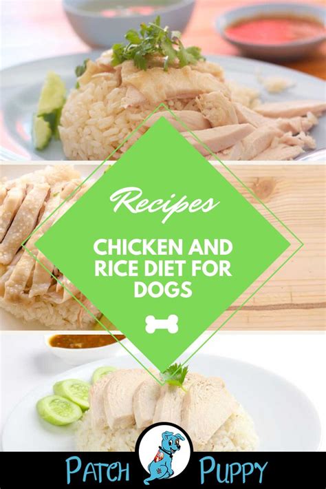 Including chicken and rice in your dog's regular diet can be done in various ways. Chicken and Rice Diet for Dogs - PatchPuppy.com | Rice ...