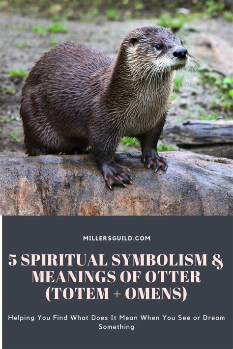 5 Spiritual Symbolism And Meanings Of Otter Totem Omens