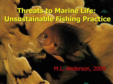 Ppt Threats To Marine Life Unsustainable Fishing Practice Powerpoint