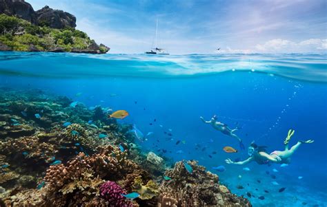 4 Things To Do On Your First Trip To Fiji Destinasian
