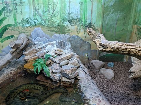 Original Zoo Tropics Of The World Reptile House Green Anaconda