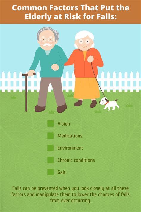 Common Factors That Put The Elderly At Risk For Falls Seniorcare Home Safety Tips Human Body