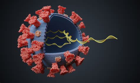 Explore literature, identify clinical trials, and compounds used in them. Scientists Unveil The Transcriptome Of SARS-CoV-2 | Asian ...