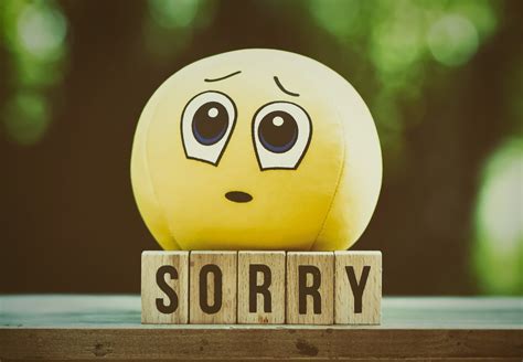 How To Say Sorry 35 Ideas From Bryn Mawr Relationship Experts