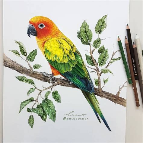Realistic Wind Animal Drawings | Realistic animal drawings, Animal drawings, Bird drawings