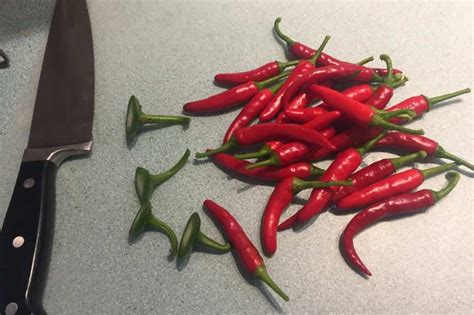 Hot Red Chile Pepper Sauce Recipe